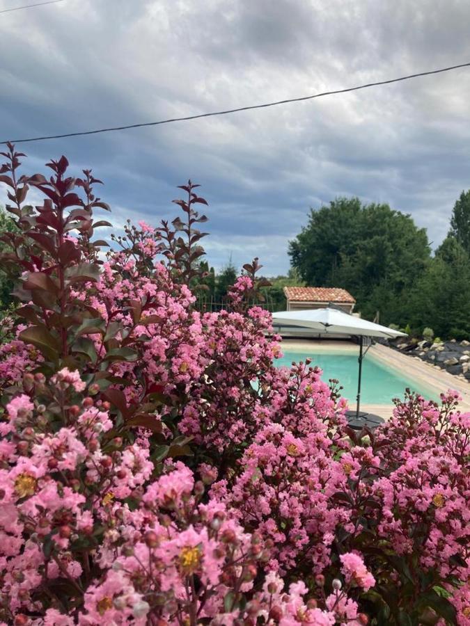 Gite Abeille-Soleil Saint-Nicolas-de-la-Grave 外观 照片