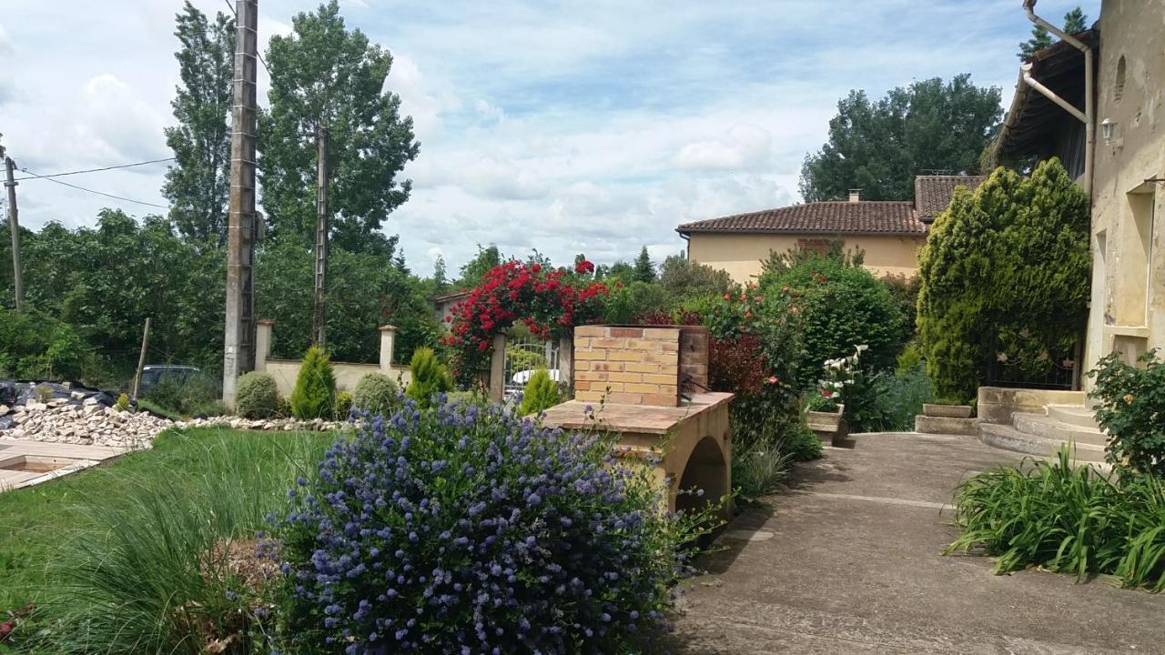 Gite Abeille-Soleil Saint-Nicolas-de-la-Grave 外观 照片